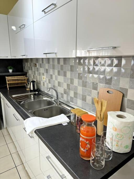 Sol Apartments - 2 Bedrooms Shkodër エクステリア 写真